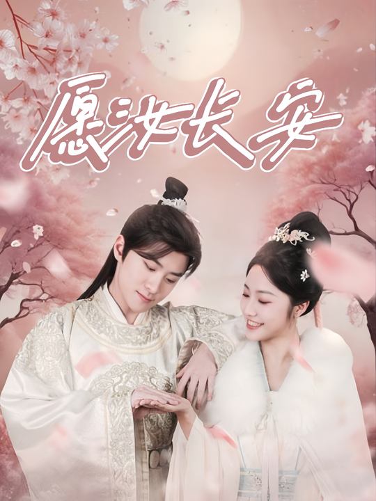 愿汝长安封面