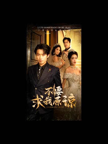 不要求我原谅封面
