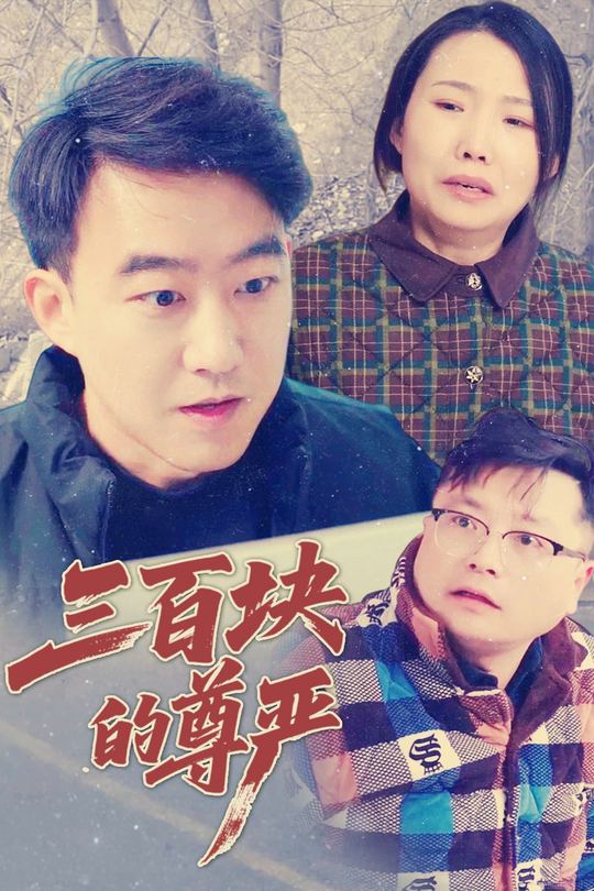 三百块的尊严封面