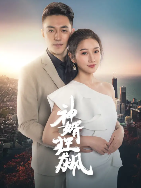 神婿狂飙封面