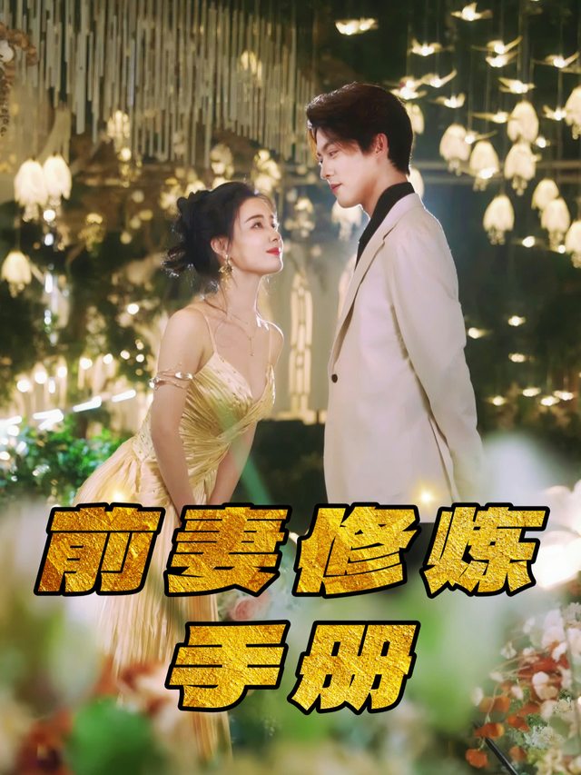 前妻修炼手册封面