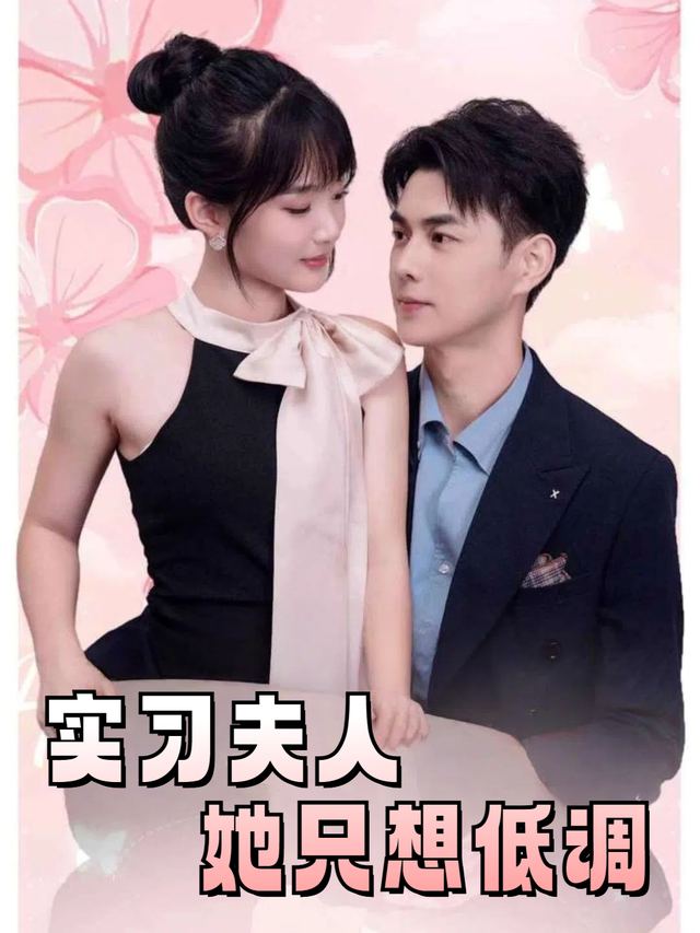 实习夫人她只想低调封面
