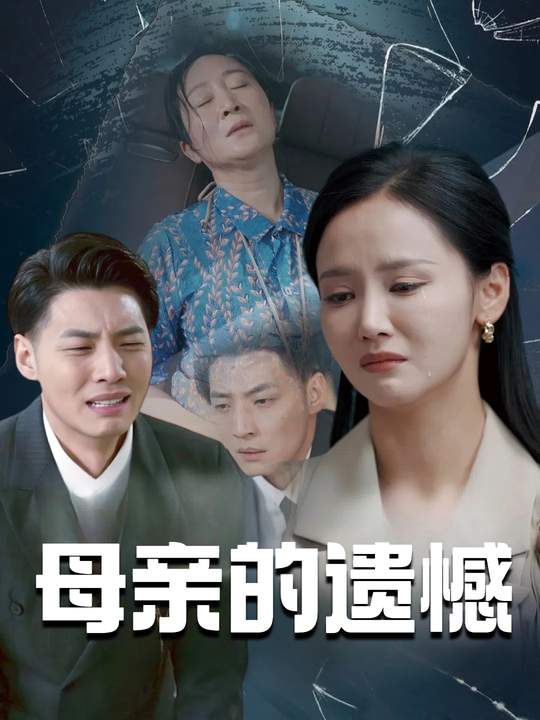 母亲的遗憾封面