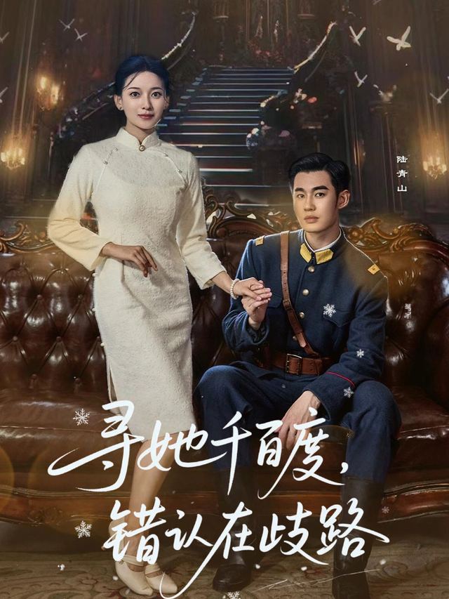 寻她千百度,错认在歧路封面