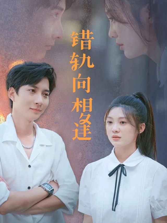 错轨向相逢封面