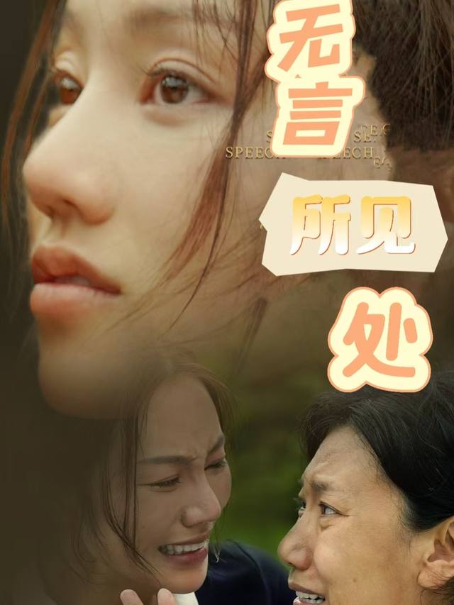 无言所见处封面