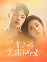 傅少的实习小娇妻封面