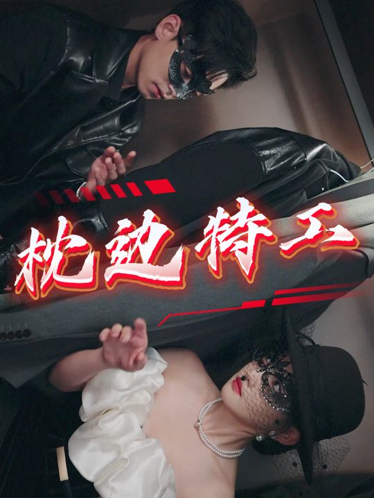 枕边特工封面
