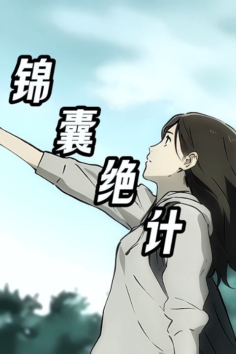 锦囊绝计封面