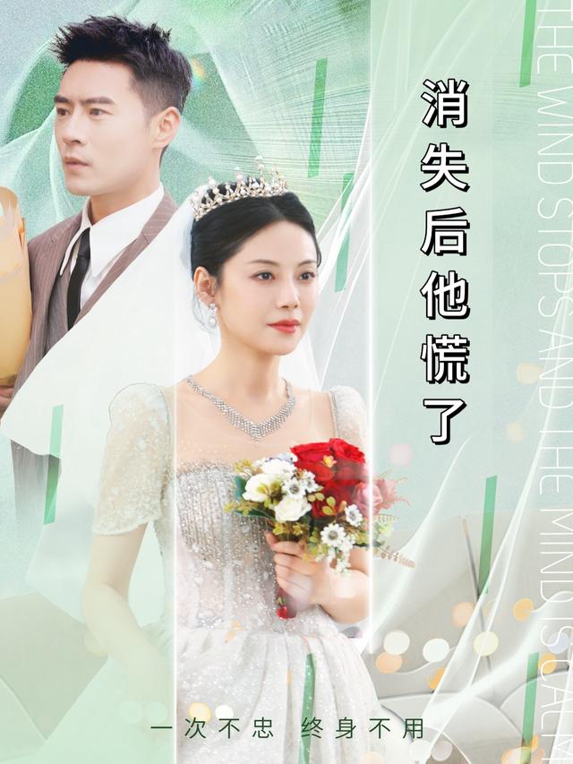 消失后他慌了封面