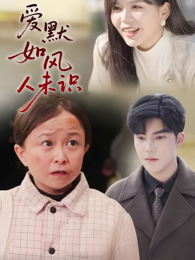爱默如风人未识封面