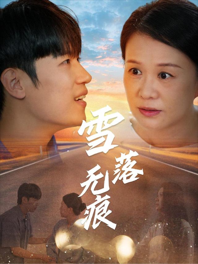 雪落无痕封面