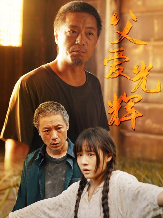 父爱光辉封面