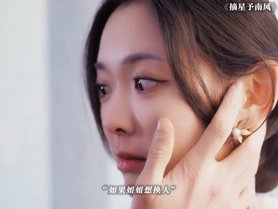 摘星予南风封面