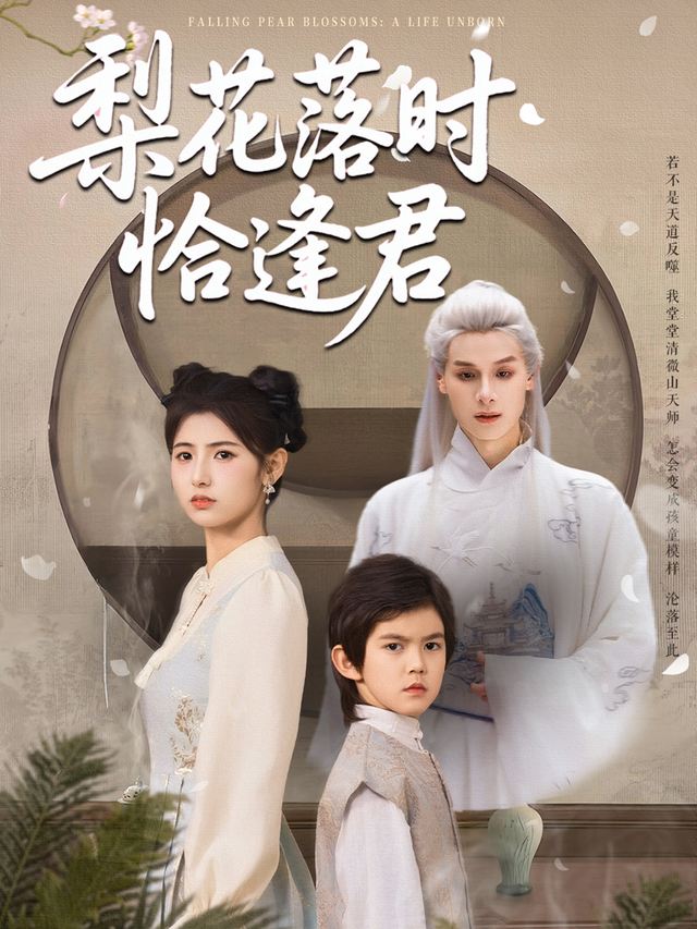梨花落时恰逢君封面