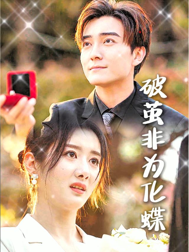 破茧非为化蝶封面