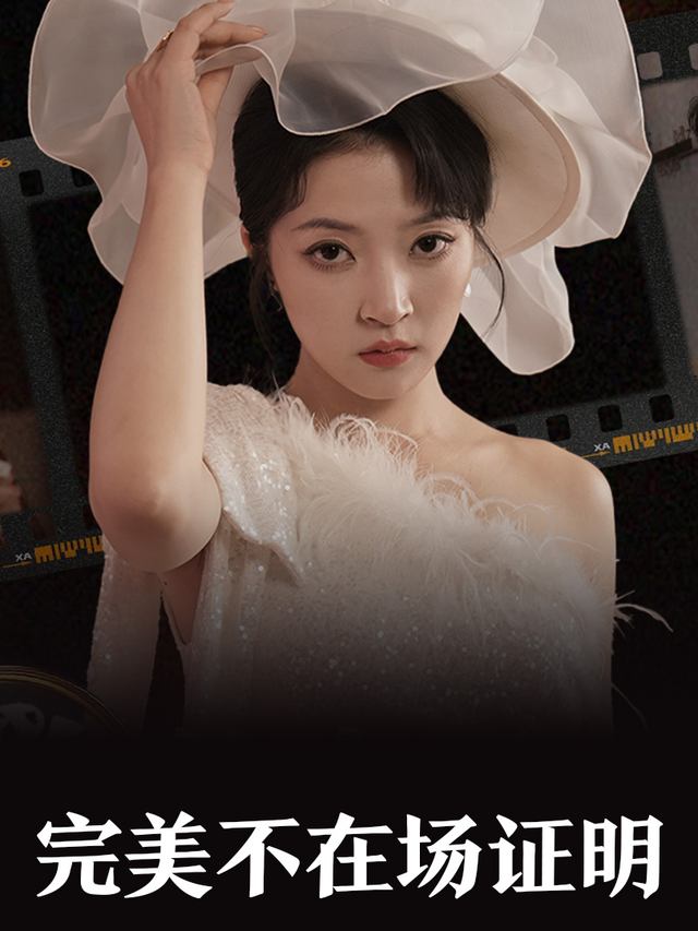 完美不在场证明封面