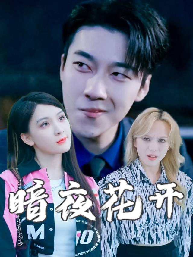 暗夜花开封面