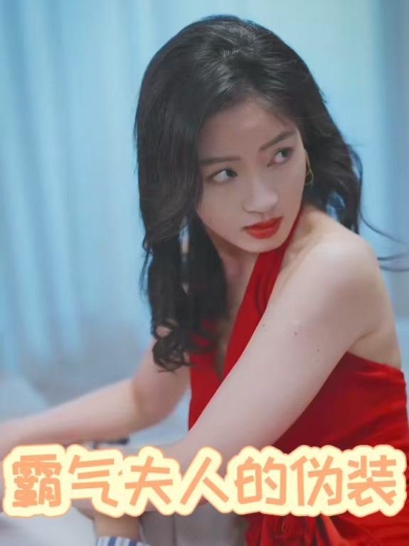 霸气夫人的伪装封面