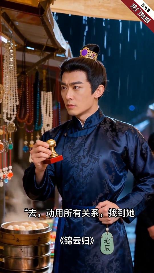锦云归封面