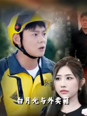 白月光与外卖箱封面