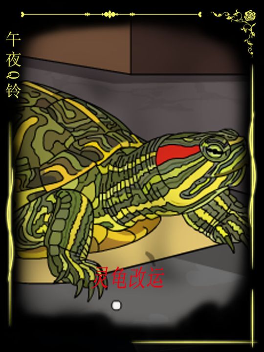 灵龟改运封面
