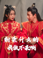 刺杀什么的我做不来啊封面