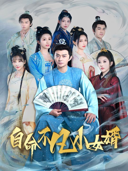 自命不凡小女婿封面