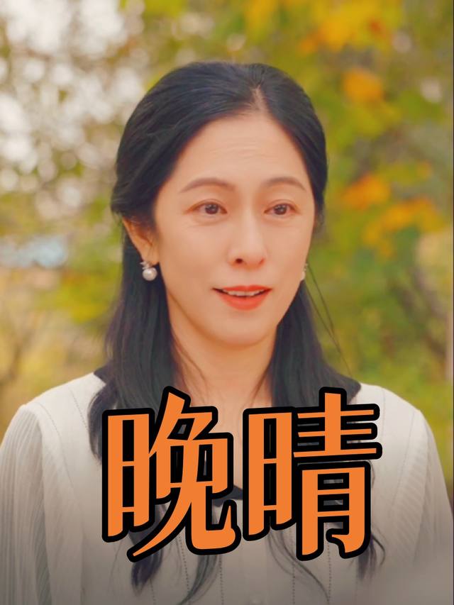 晚来晴封面