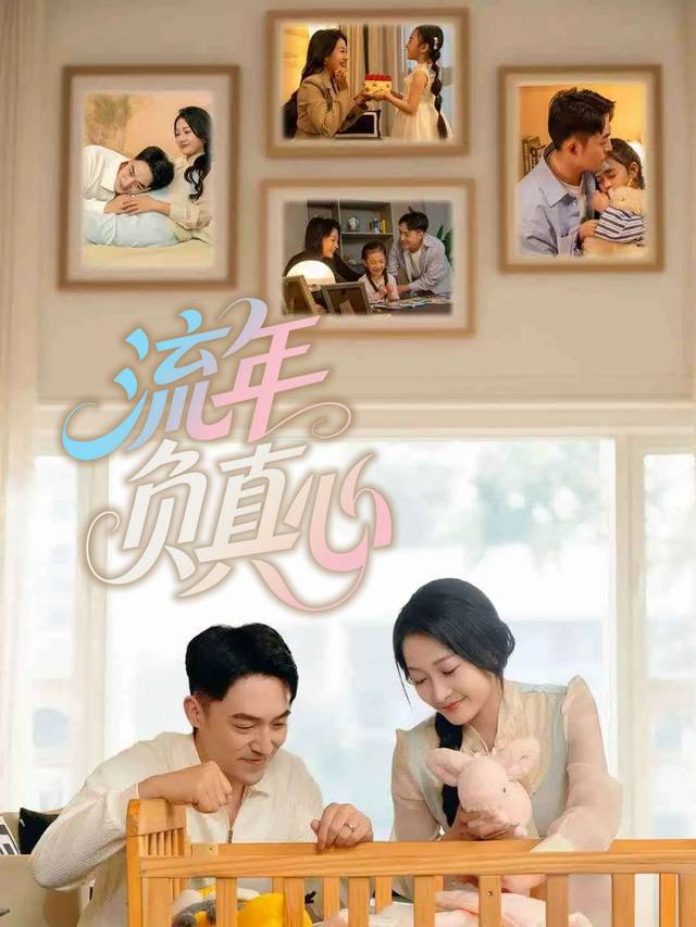 流年负真心封面