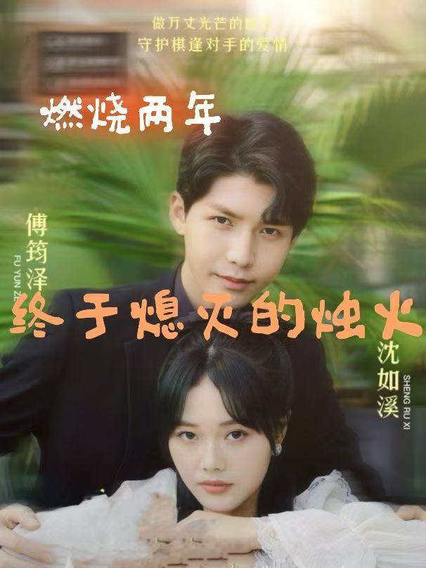 燃烧两年,终于熄灭的烛火封面