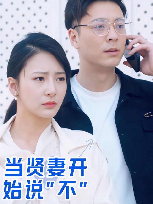 当贤妻开始说"不"封面