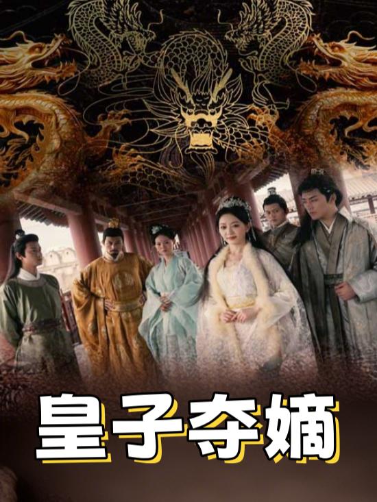 皇子夺嫡封面