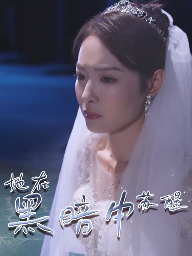 她在黑暗中苏醒封面