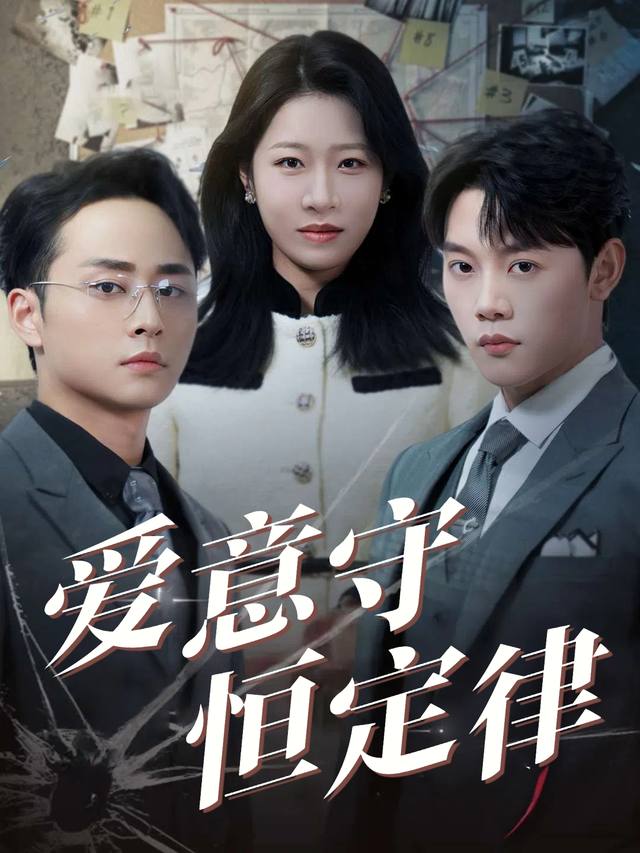 爱意守恒定律封面