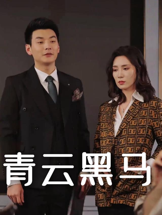 青云黑马封面