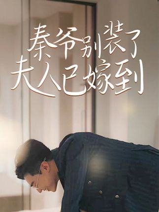 秦爷别装了夫人已嫁到封面