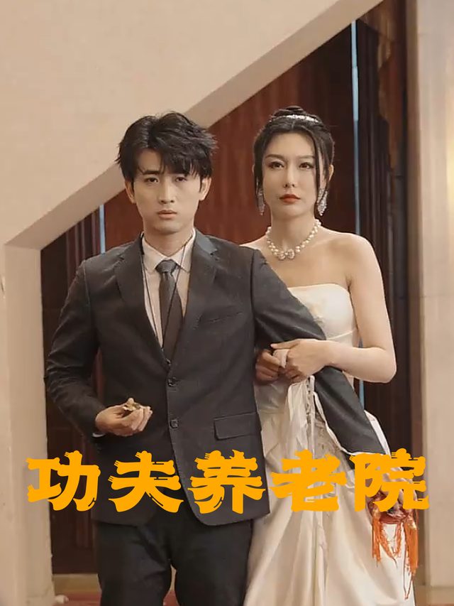 功夫养老院封面