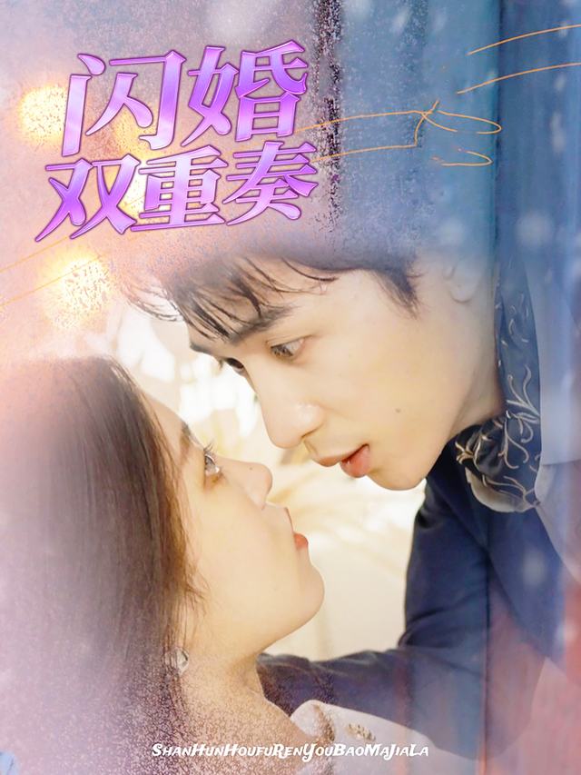 闪婚双重奏封面