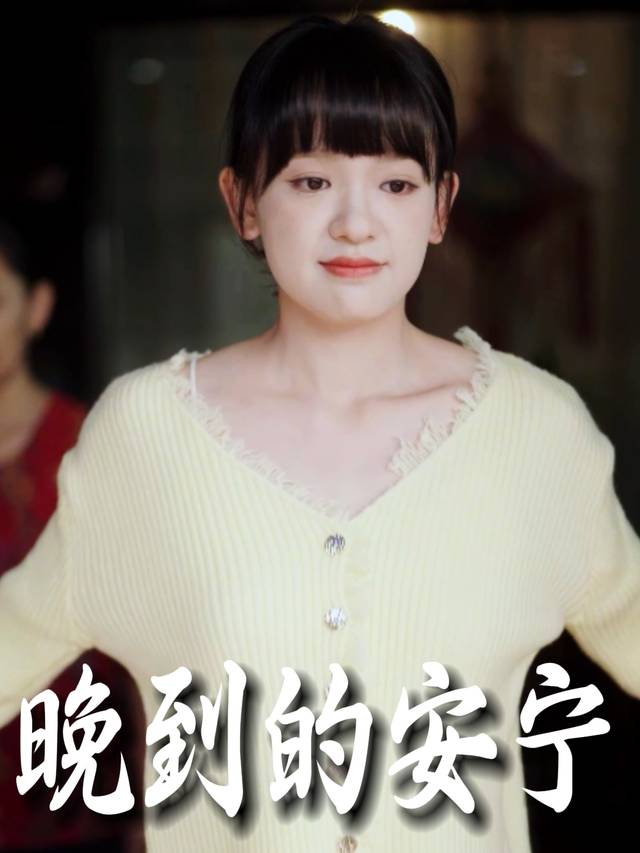 晚到的安宁封面
