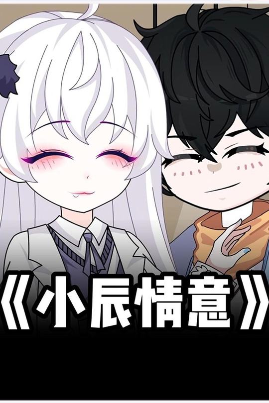 小辰情意封面