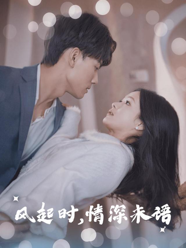 风起时,情深未语封面