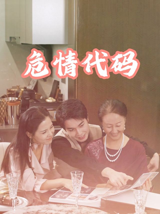 危情代码封面