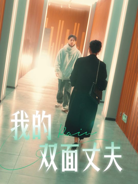 我的双面丈夫封面