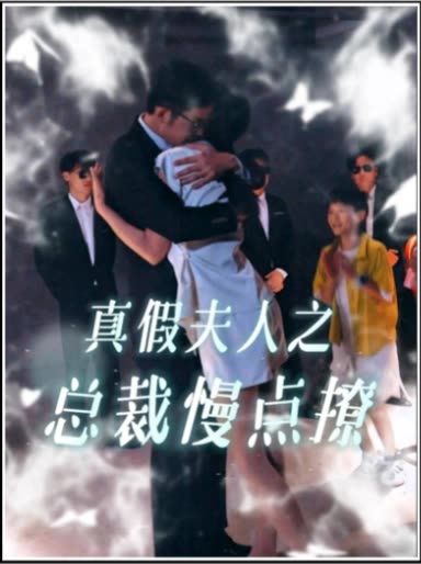真假夫人之总裁慢点撩封面