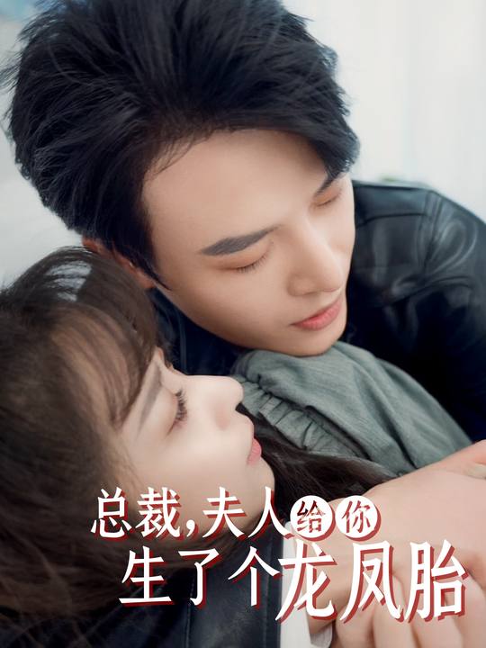总裁,夫人给你生了个龙凤胎封面
