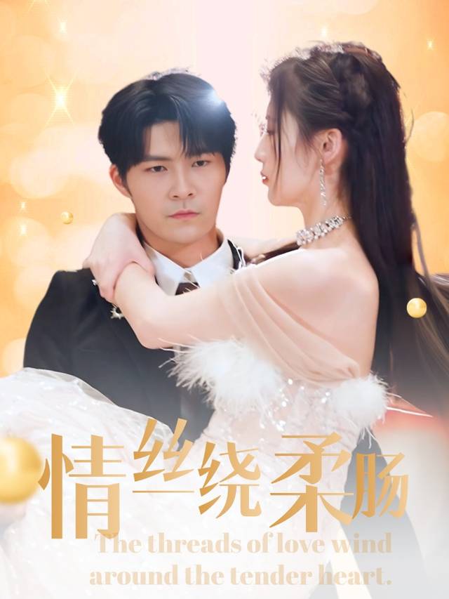 情丝绕柔肠封面