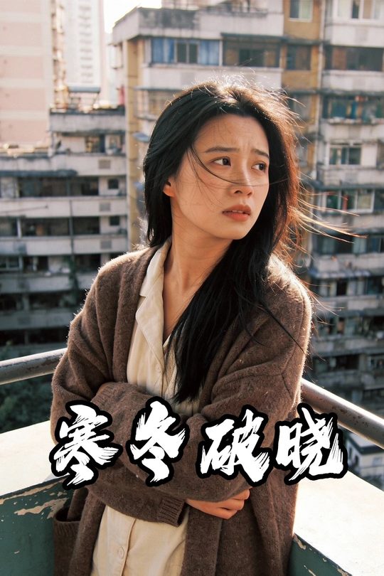 寒冬破晓封面
