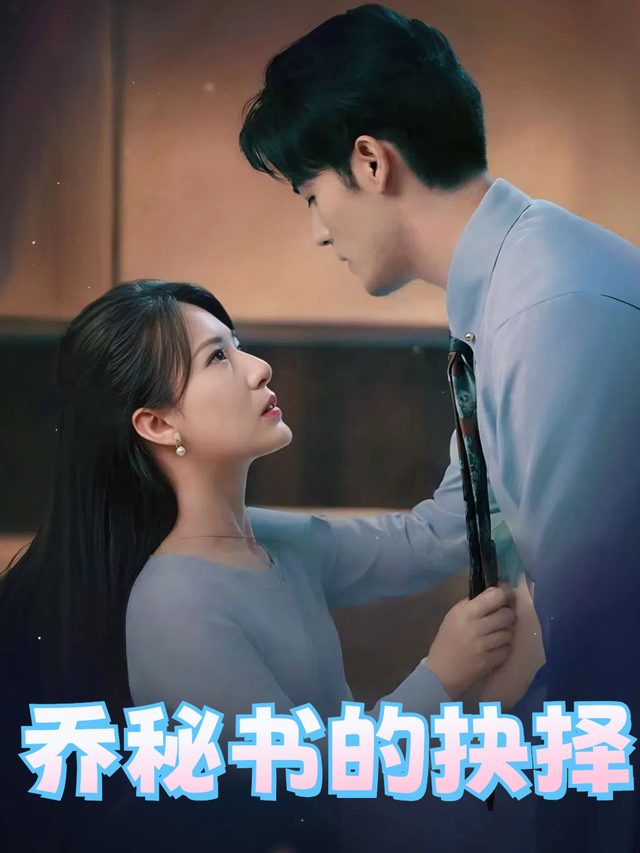乔秘书的抉择封面