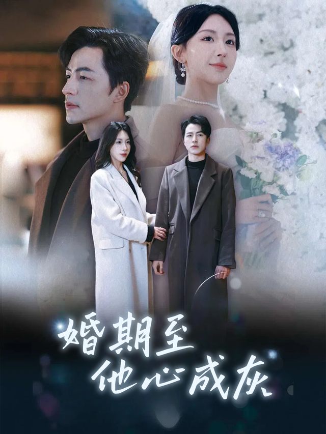 婚期至他心成灰封面